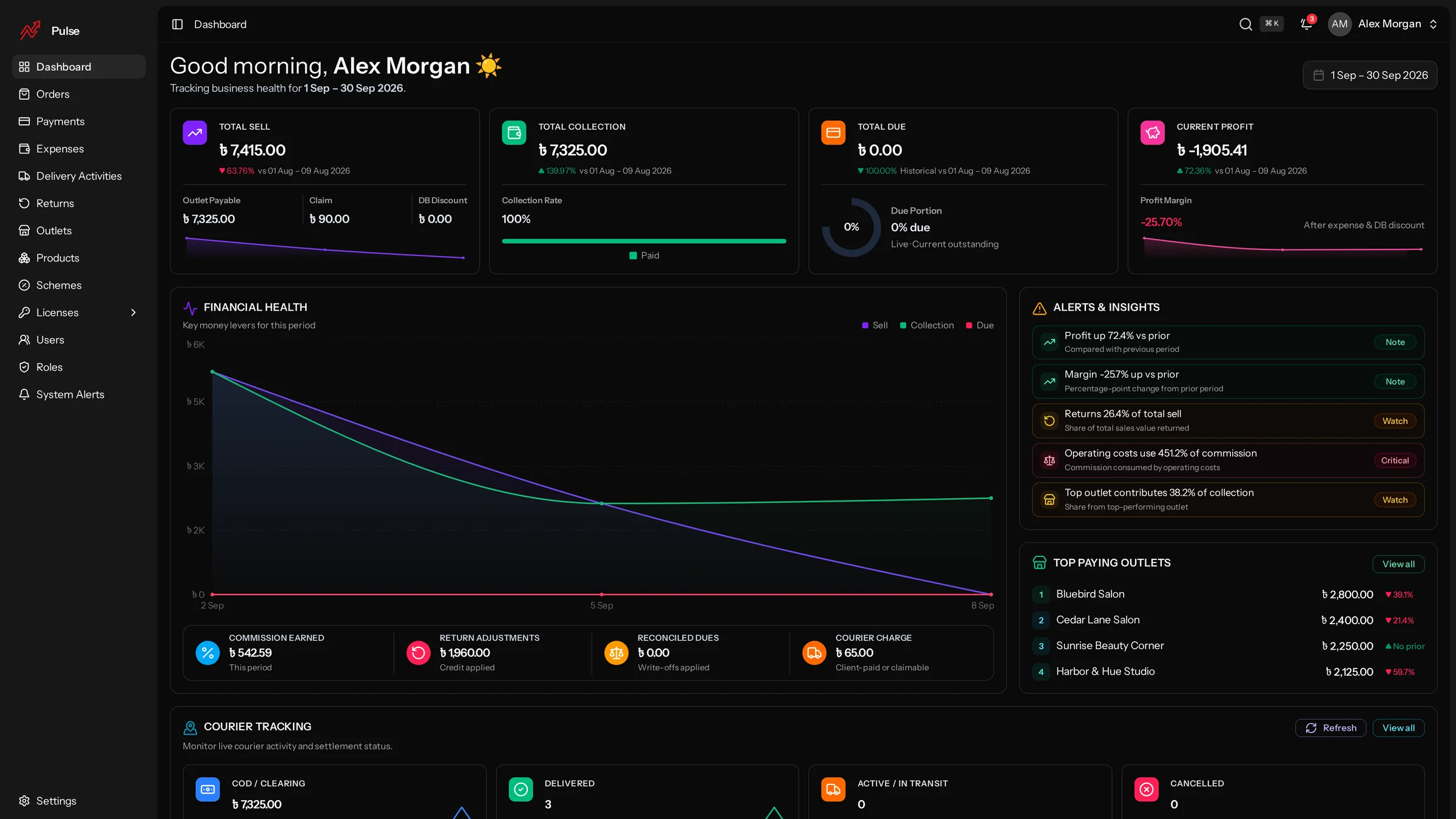 PULSE project preview
